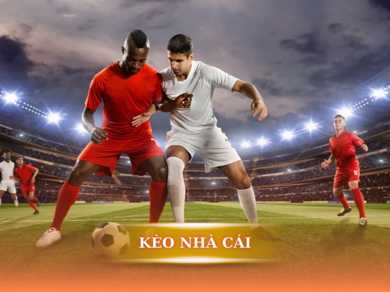 Cùng LU88 tìm hiểu tổng quan về kèo nhà cái